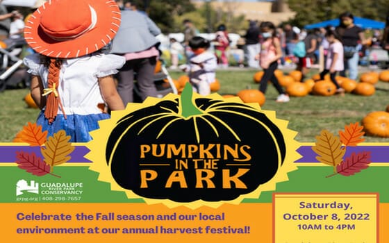 Pumpkins in the Park | Discovery Meadow