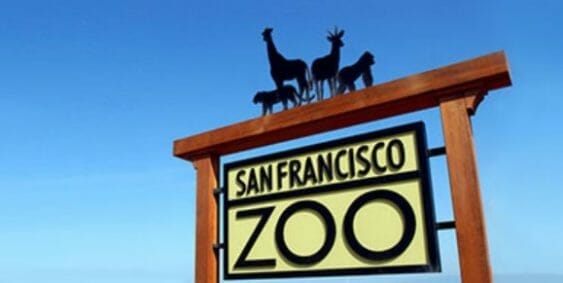 San Francisco Zoo, Source SF Zoo