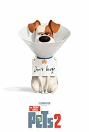 The Secret Life of Pets 2 coming to movie theaters summer 2019.