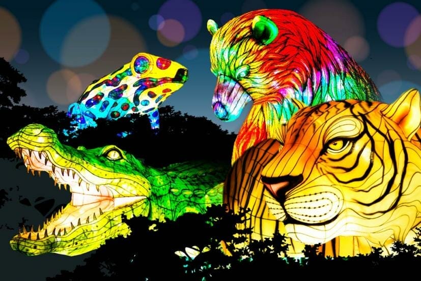 Oakland Zoo Glowfari Reopens: Now till March 13th