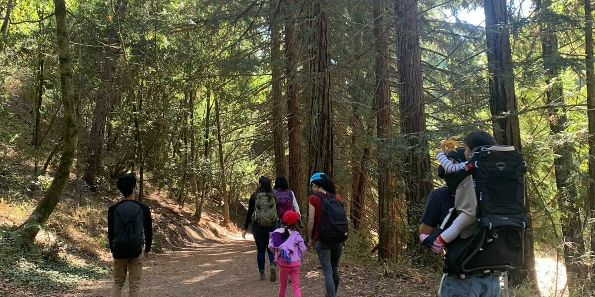 Junior Wildlife Ranger Guided Walks  |  Joaquin Miller Park