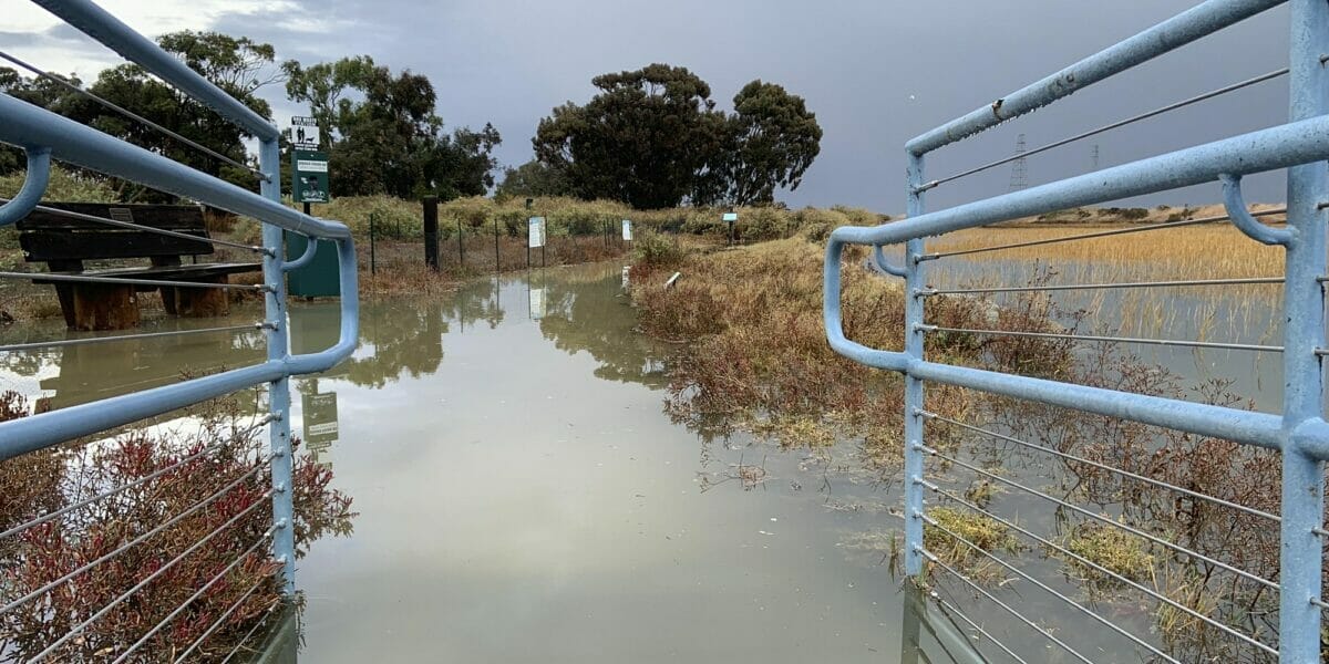 Fall King Tides Walk | EcoCenter