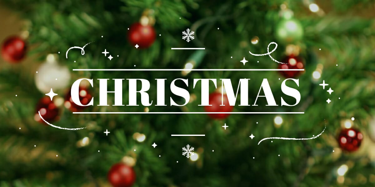 Things to do for families in the Bay area Christmas 2025