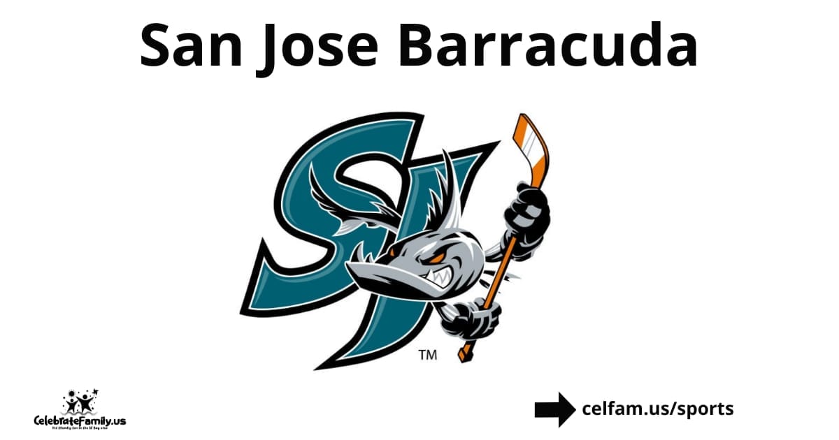 San Jose AHL Hockey Team