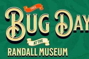 Randall Museum Bug Day