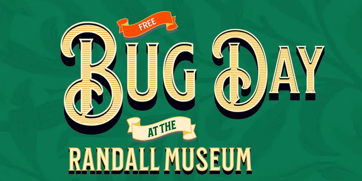 Bug Day at Randall Museum