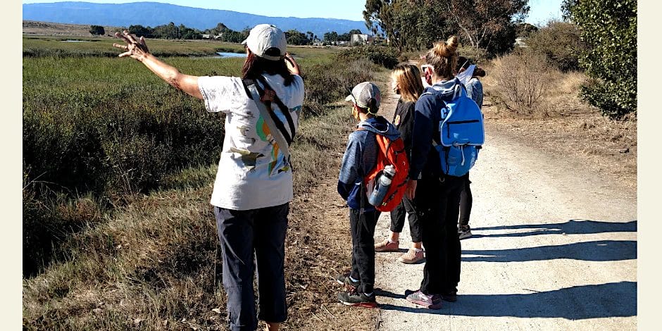 Family Nature Walks - Baylands Nature Preserve