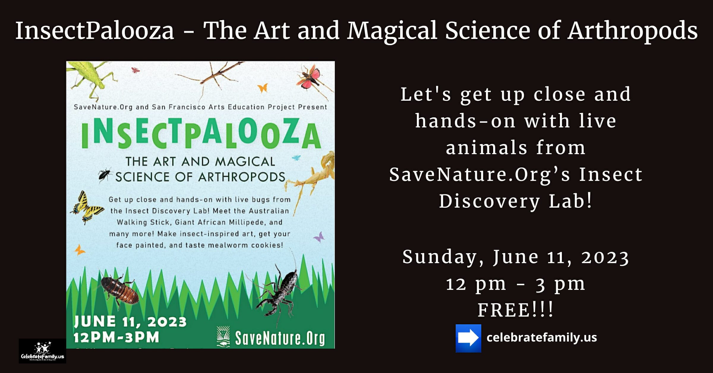 <strong>InsectPalooza – The Art and Magical Science of Arthropods</strong>