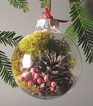 Holiday Crafts from Nature | UC Botanical Garden