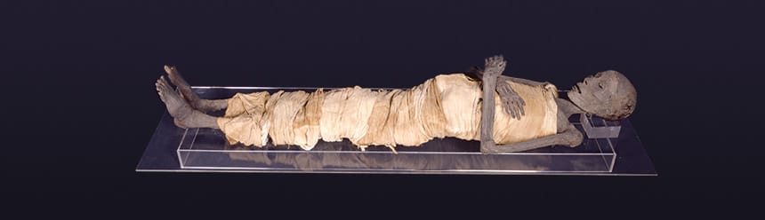 Mummification Apprenticeship at the Rosicrucian Egyptian Museum